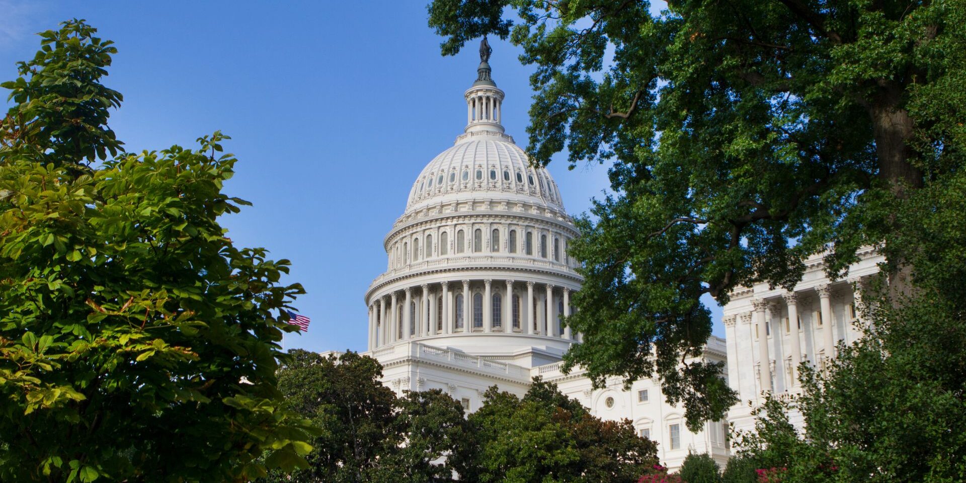 White house (1)